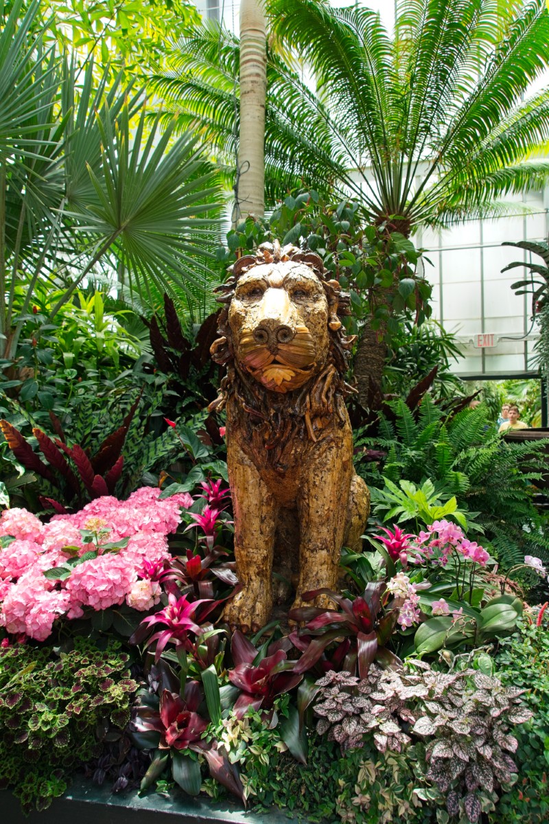 Image 72